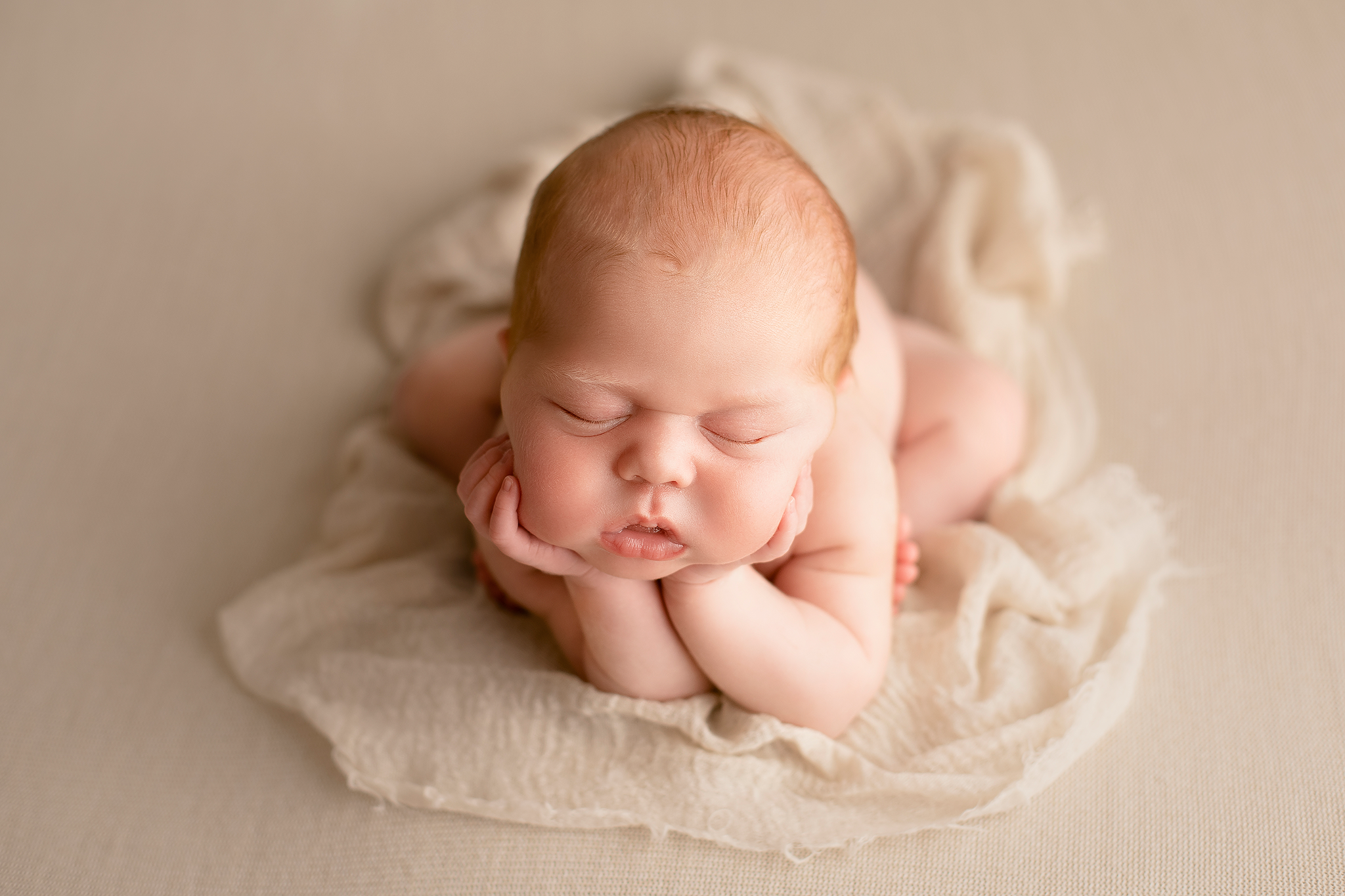 New Born Image Eighteen